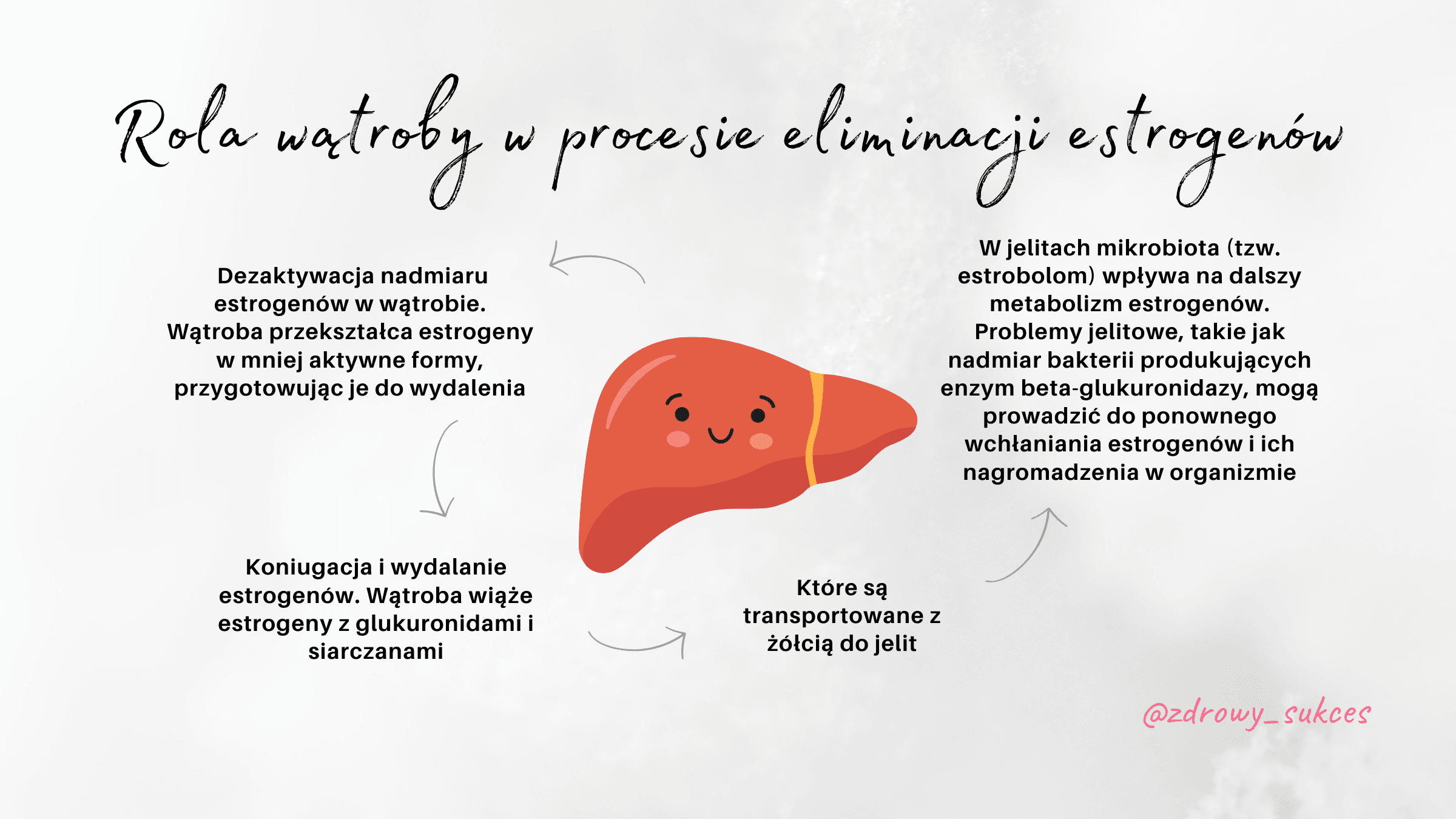 Obraz przedstawia wątrobą oraz jej rolę w procesie eliminacji estrogenów. Obrazek wykonała Patrycja Marszalec dla jej szkolenia o zapaleniu endometrium.
