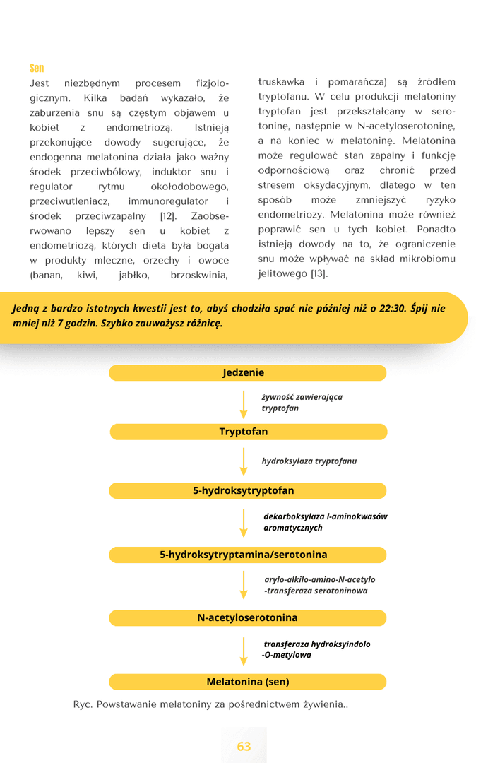 Zdjęcie produktu ENDO e-BOOK 3.0
