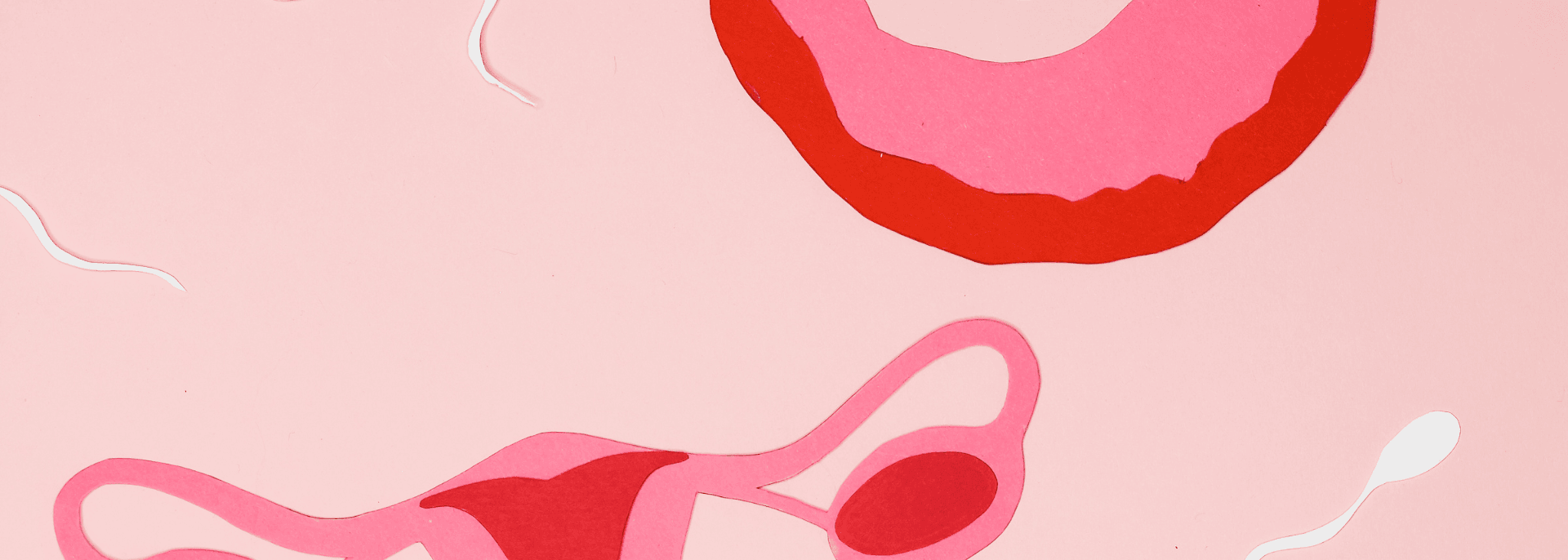 Suplementacja przy niskim AMH