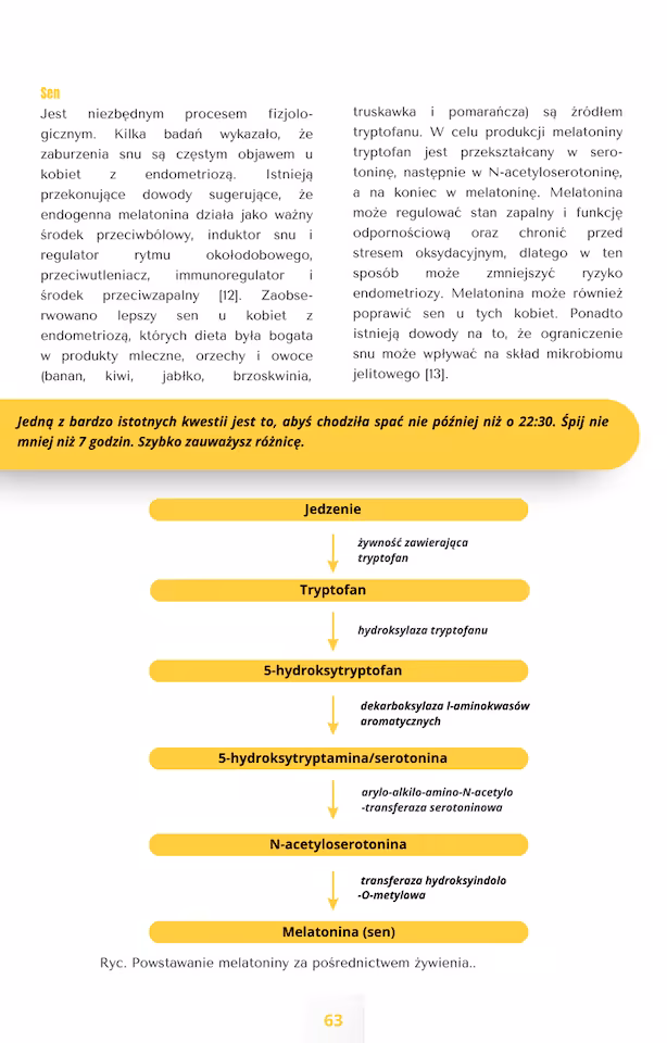 Zdjecie 14 produktu ENDO e-BOOK 3.0