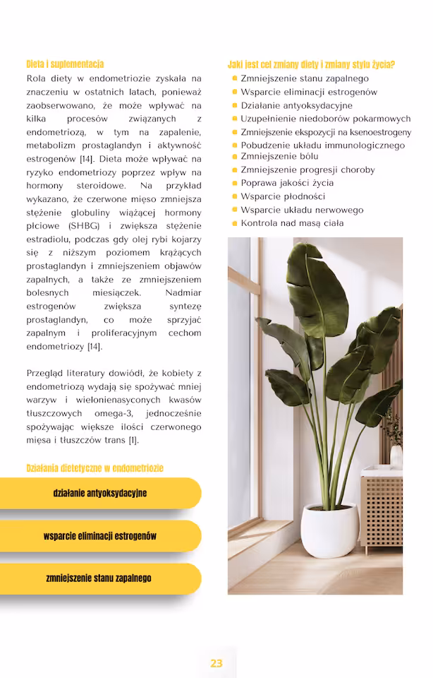 Zdjecie 10 produktu ENDO e-BOOK 3.0