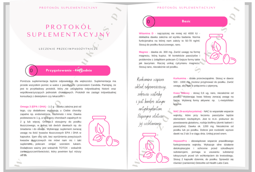 Zdjęcie wnętrza protokołu suplementacyjnego